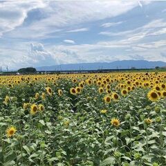 旅仲間募集 - 豊田市