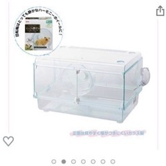 グラスハーモニー　300、450サイズ2個ずつの画像