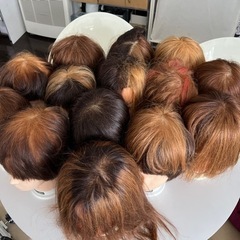 カットウィッグ　カラーリング後　計16個