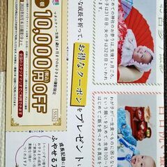 スタジオマリオ/期限23年8月撮影分