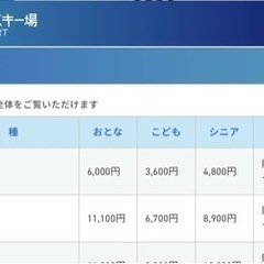 (3/13使用限定) 野沢温泉スキー場  リフト券 1枚（こども用）の画像