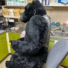 ゴリラのぬいぐるみの画像