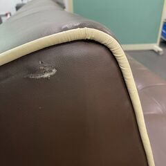 ソファーベットの画像