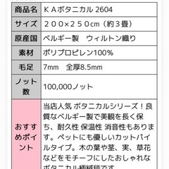 ◆本日3/25受け渡し可能◆カーペット ウィルトン織 ベルギー製 3畳の画像