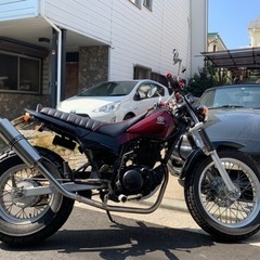 ラップ塗装のTW225E