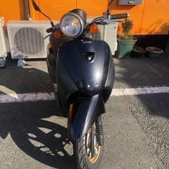 ホンダ HOND トゥデイ TODAY 50cc 保険期間令和7年6月
