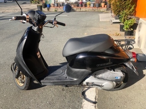 ホンダ HOND トゥデイ TODAY 50cc 保険期間令和7年6月