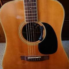 アコギ　Hay Wagon HW-30