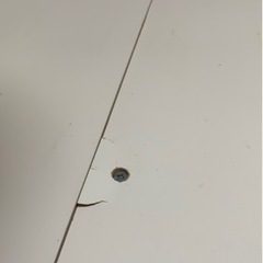 ニトリ　スライド式ソファベッド　ブラウン　（受付終了）の画像