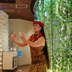 戸塚フラダンス・5周年記念🌺木曜日・土曜日クラス 中・高生以上のオピオ&ワヒネ クラスの画像