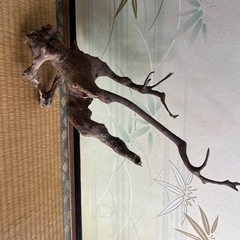 流木