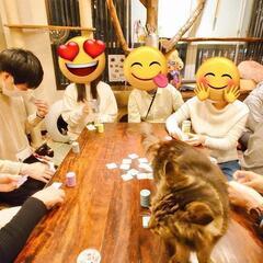 ❇️3/11(土) ねこ好き交流会（ボードゲーム）

 - 世田谷区
