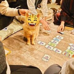 ❇️3/11(土) ねこ好き交流会（ボードゲーム）

 − 東京都