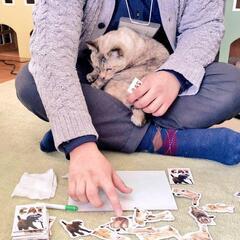 ❇️3/11(土) ねこ好き交流会（ボードゲーム）

 - メンバー募集