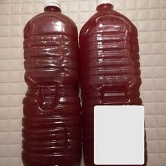 《メダカ・針子の餌に》自家製PSB＆ゾウリムシ　２リットル（50...
