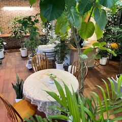 🌸ガーデニング専門店と花と緑に囲まれた花カフェ☕ - 地元のお店