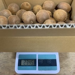 【在庫切れ】☆★☆キウイフルーツ小粒〜2.3kg【未完熟･食べ頃混】②☆★☆の画像