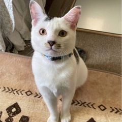 のほほん♪コタ君
