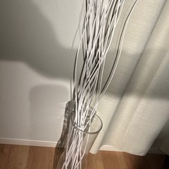 枯れ木オブジェの画像