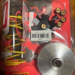 値下げマロッシプーリーV100 未使用
