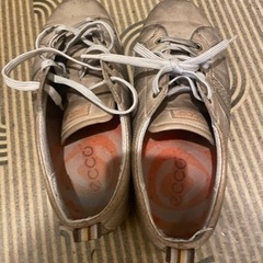ecco 靴の画像