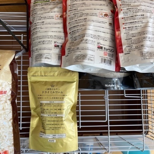 ハリネズミ 飼育セット