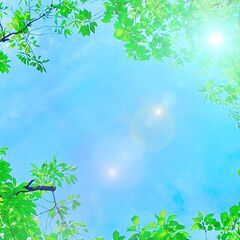 募集終了