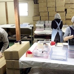 軽作業　組立　梱包　検品　封入作業/WO00000554233_...