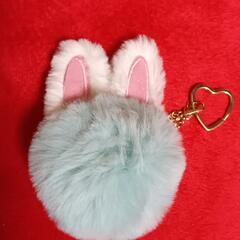 アクセサリーチャーム①🐇未使用