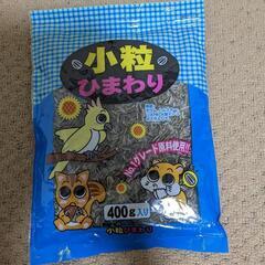 小粒ひまわり