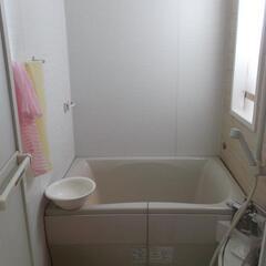 住み込みボランティア募集 - 地元のお店