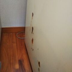  冷凍庫の画像