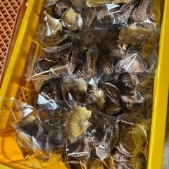 原木 乾燥しいたけ【決まりました】の画像