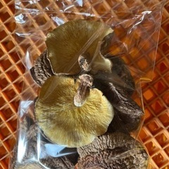 原木 乾燥しいたけ【決まりました】の画像