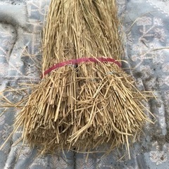 藁　ワラ　わら　の画像