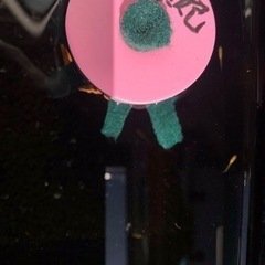 メダカ 楊貴妃 (成魚は紅強目) 10匹 ヨウキヒの画像