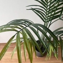 イケア　観葉植物　グリーン　フェイクグリーン　ナチュラル　インテリア　飾りの画像