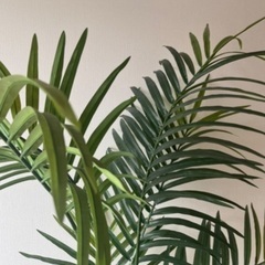 イケア　観葉植物　グリーン　フェイクグリーン　ナチュラル　インテリア　飾りの画像