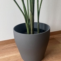イケア　観葉植物　グリーン　フェイクグリーン　ナチュラル　インテリア　飾りの画像
