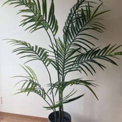 イケア　観葉植物　グリーン　フェイクグリーン　ナチュラル　インテリア　飾りの画像