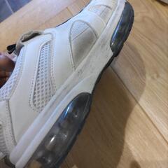 LLサイズ　スニーカーの画像
