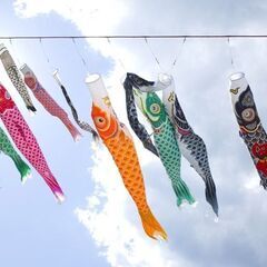 鯉のぼりを譲ってください！