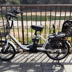 電動アシスト自転車 後ろ子供乗せ PELTECH 20インチ内装3段 TDN-207L