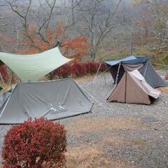キャンプ、ソログルメンバー募集