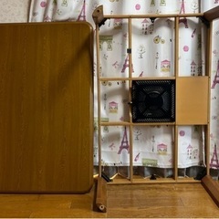 こたつ