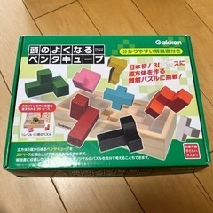 有名ブランド ピタゴラスモザイクパズルたんぐらむ立体パズル頭