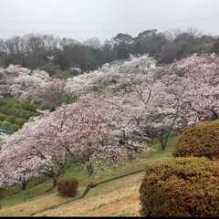 甲山　4月体験ハイキング