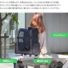 ペットキャリーバッグリュック　4wayの画像