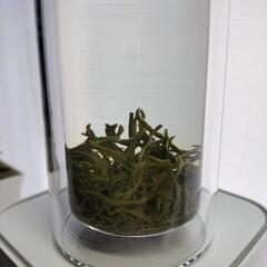 特级碧螺春茶5Aの画像