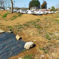 市原市喜多　台風に備えて土嚢を作りませんか？残土無料でいりませんか？の画像